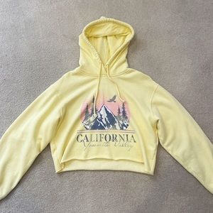 Hollister Cropped Hoodie